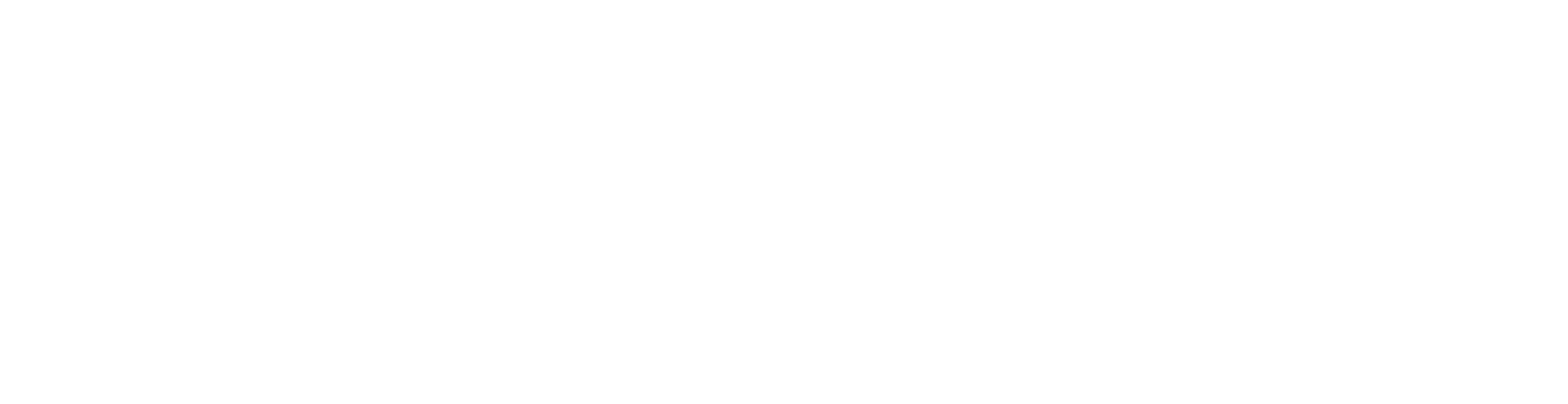PPS Healthcare Administrators White logo